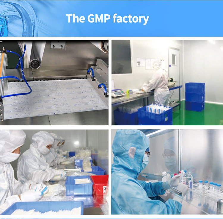 Portable Nylon Disposable Sampling Swab Medical Sterile Swab