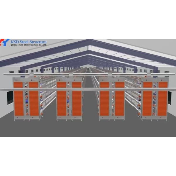 Custom Automatic Chicken Egg Collection System For Layers Cage Feeding