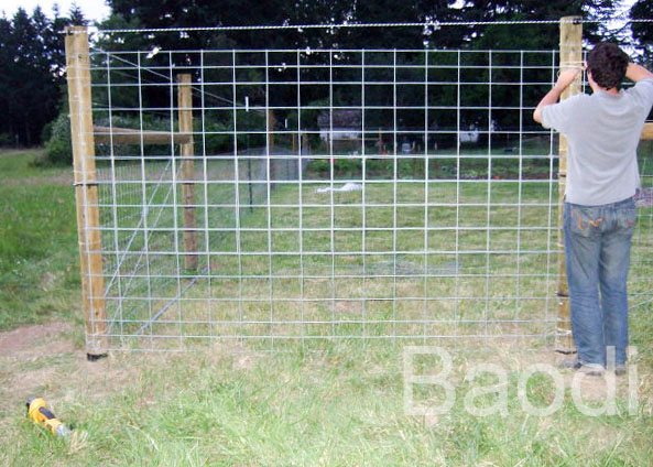 Galvanized Welded Hog Fence Wire Mesh Sheets With Rectangular Grid 16 Inch Length