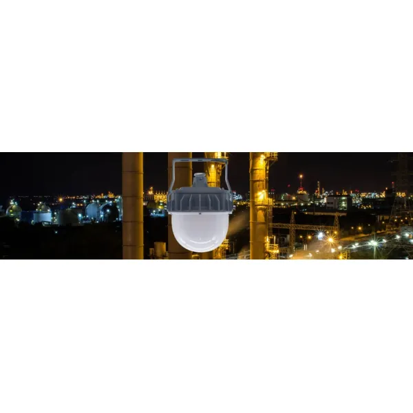 LED Explosion Proof Light Atex Certified High Bay Area Hanging Wall Mounted Zone 1 Zone 2 LNG Gas Station Oil Industry