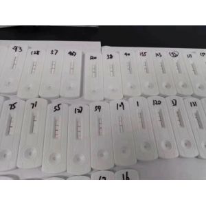 Testsealabs One Step Mycoplasma Pneumoniae Ab IgG IgM Rapid Test Kit