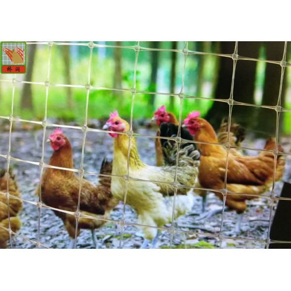 Transparent Plastic Netting Fence, Plastic Plastic Poultry Netting, 35GSM,
