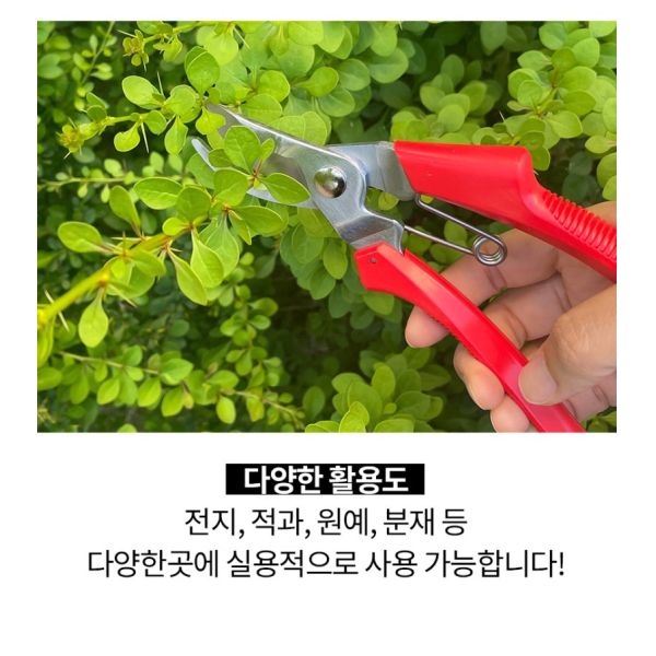 Titanium Pruning Shears Heavy Duty Bypass Pruner Sharpener Handheld Yard Tree Tool