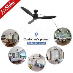 Small And Low Profile Black Modern Ceiling Fan DC Motor ABS Blade