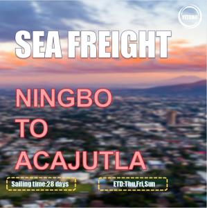 China Ningbo To Acajutla Salvador Global Ocean Freight Brokers 3 Shifts Per Week on sale