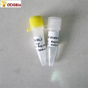 Quality M-Mlv Reverse Transcriptase PCR Reagents Rt PCR R1041/R1042 for sale