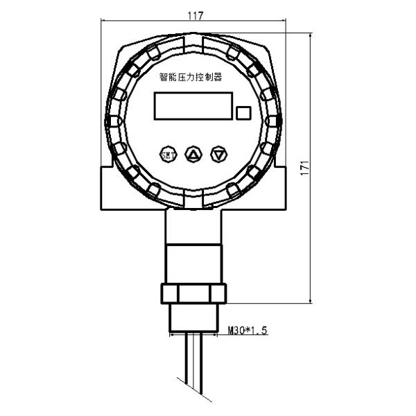 Submersible Level Gauge