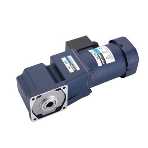 AC 220v Speed Reducer Meduim Gearbox Motor 370w 5 To 36 : 1 Ratio 50Hz 60Hz