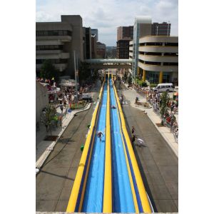 Quality giant inflatable water slide / inflatable slide the city for fun/inflatable water slide for sale