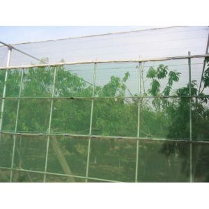 Quality HDPE Monofilament Inst Mesh Netting 20 30 40 50 Mesh Count Anti Insect Proofing Net for sale