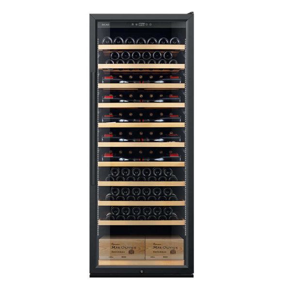 Freestanding Wine Cooler Cabinet with Digital Temperature Control and LED Lighting