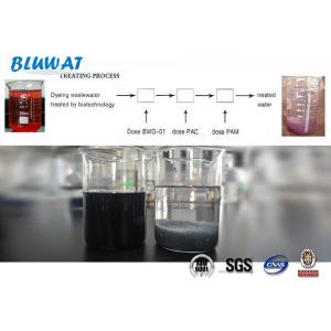 Quality Industrial Water Treatment Flocculant Decoloring Agent ISO9001 SGS BV for sale