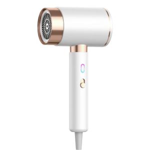 2000W High Speed Blue Light Led Display Switch On The Side Fast Drying Hair