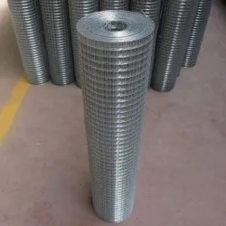 Heavy Duty 1/2X1X2 xBWG16 Galvanized Welded Wire Mesh for Philippines