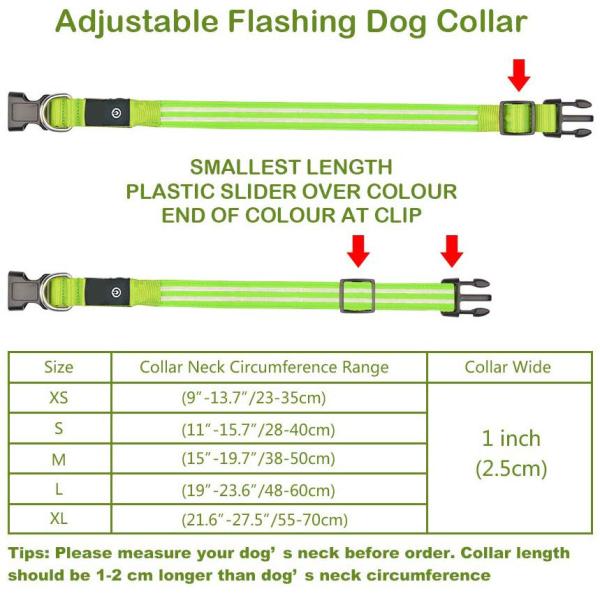 Sturdy Durable LED Dog Collar USB Rechargeable Customized 5 Sizes Option