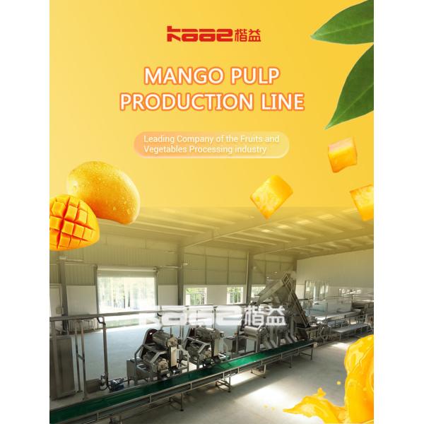 Automatic Turnkey Mango Processing Line Industrial Beverage Production Enterprise