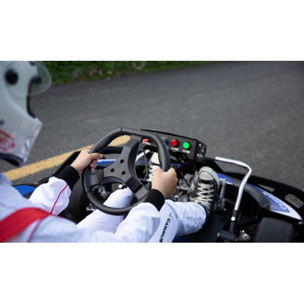 4kw Electric Pedal Go Kart Belt Drive Max 80Km/H Fast Track Indoor Karting