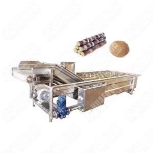 Multifunctional Cassava Peeler And Peach Washing Automatic Clothes Wash Brush