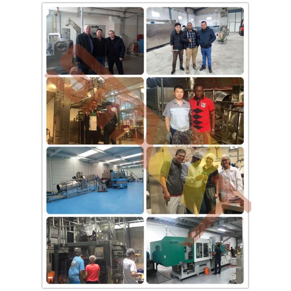 Dog Chewing Snacks Automatic Injection Moulding Machine 142Mpa