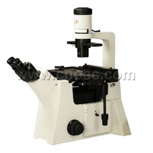 Quality Infinity Achromatic Halogen Phase Contrast Microscope 40X - 1000X A19.2703 for sale