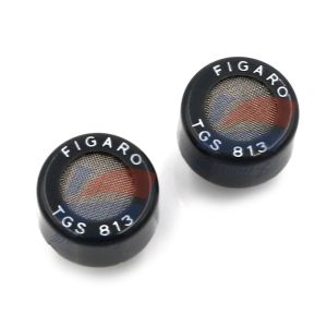 China TGS813 Semiconductor Gas Sensor For Domestic Gas Leak Detection Portable Gas Detection on sale