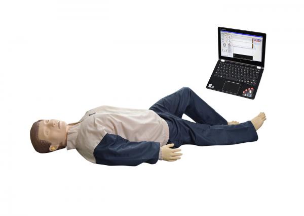Buy CPR First Aid Manikins with Open Airway for Multimedia Courseware Teaching at wholesale prices