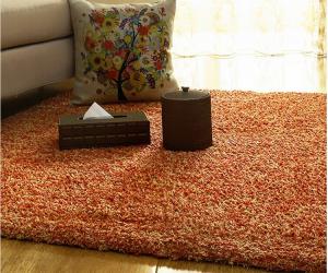 Quality Home Goods Area Rugs With 100% Polyester Textured Yarn And Non-Woven Cloth Backing for sale