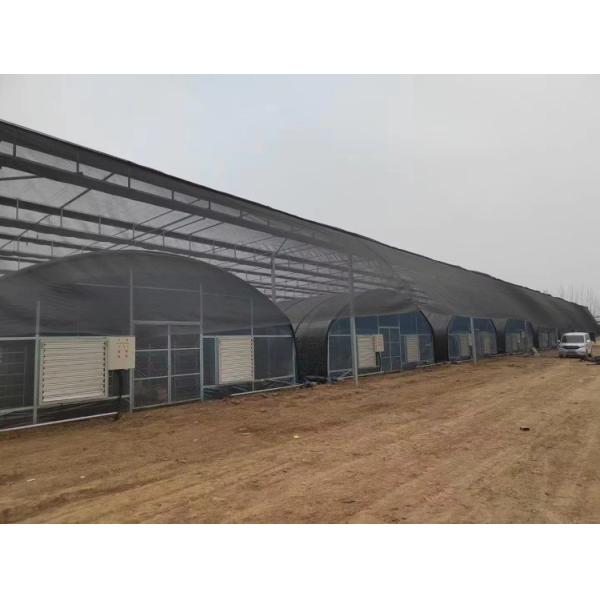 PE PO Film Tunnel Greenhouse Commercial Agricultural Greenhouse Customizable