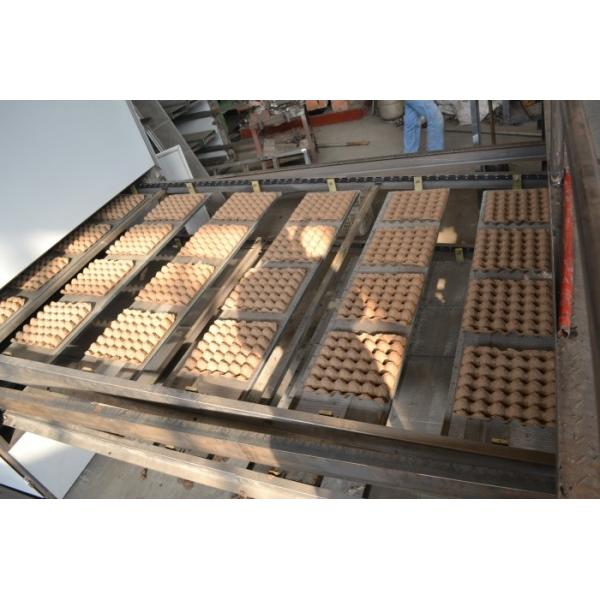 Large capacity 6000 pcs automatic egg tray making machines paper recycling machine