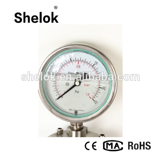 150mm Diaphragm flange pressure gauge