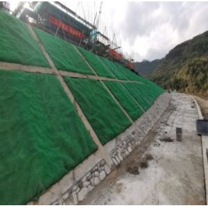 3D Geomat HDPE PE Plastic Net for 2.0m-2.5m Width Erosion Control and Drainage