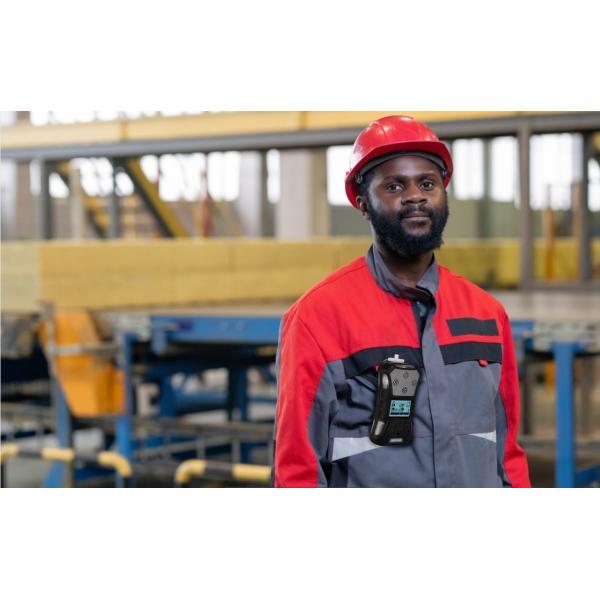 IECEX ATEX Certificated Handheld Multi Gas Detector for LEL O2 H2s Co Gases Detection