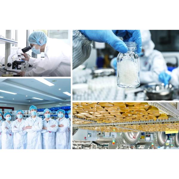 Herbal Wellness Drink Light Herbal Tonic With Reishi & Bird's Nest For Daily Balance & Hydration Gentle Nourishment For Body And Mind