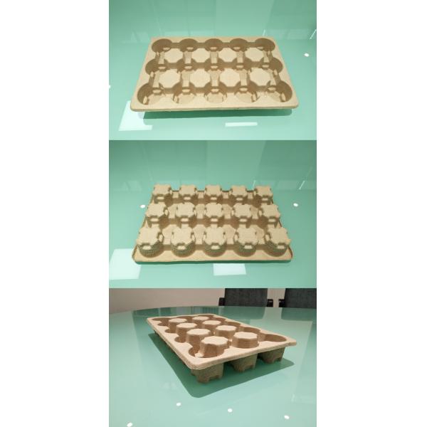 Pulp Molding Tray Forming Machine With Double Working Stations