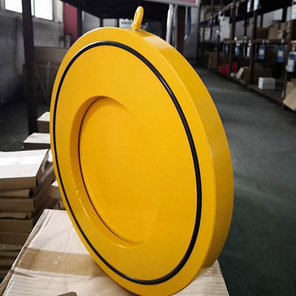 Cast Iron Roots Rotary Lobe Blower 3600m3/Hour Roots Positive Displacement Blower