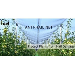 Quality HDPE Anti Hail Net Agricultural Anti Hail Mesh Customized Anti Bee for sale
