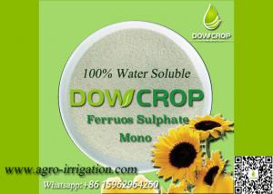 Quality DOWCROP HIGH QUALITY 100% WATER SOLUBLE MONO SULPHATE FERROUS 30% LIGHT GREEN POWDER MICRO NUTRIENTS FERTILIZER for sale