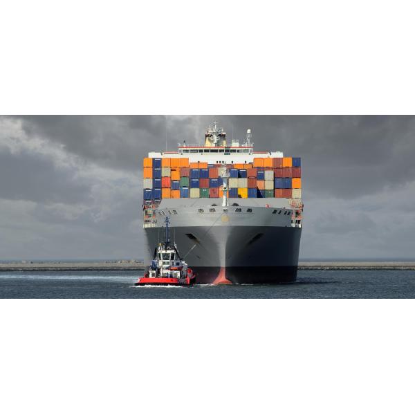 Robust and Reliable Power: A Comprehensive Guide to Feichun Type MGG Marine Cables