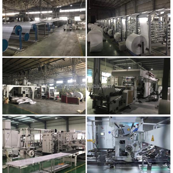 Empty Valve Bag for Chemical Masterbatch Cement Gypsum Mortar Putty Tile Adhesive Fertiliser ISO9001 2008 Certified