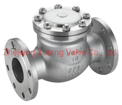 SS316 Flang Swing Check Valve Pn16 (H44W)