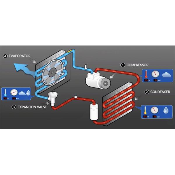 MSC90C AKC201A275 Auto AC Compressor MSC90TA-S For Mitsubishi Fuso 12.0 Turbo 24V 6PK Diesel