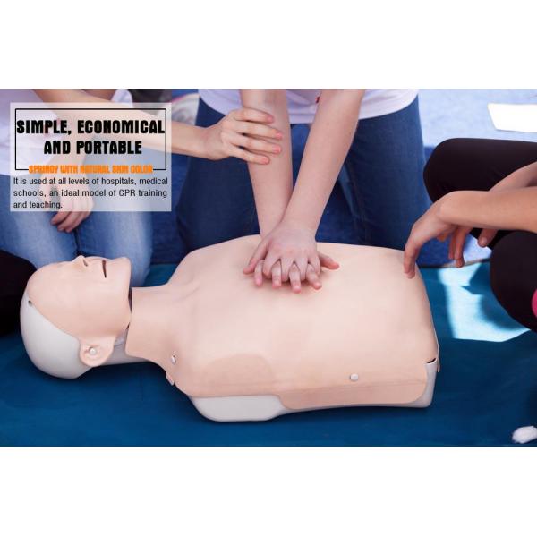 Neonate Scalp Venipuncture Model Baby Model Medical Manikins With Nature Size