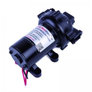 China 5.0gpm 60psi 12v Dc Membrane Outboard Motor Water Pump For Ski Boat on sale