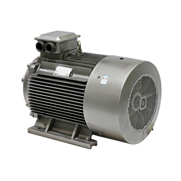 Class F 77.4% High Efficiency Three Phase Asynchronous Motor YE3 90S-4-1.1kW