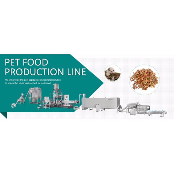 Dog Cat Pet Food Machine 500kg Per Hour