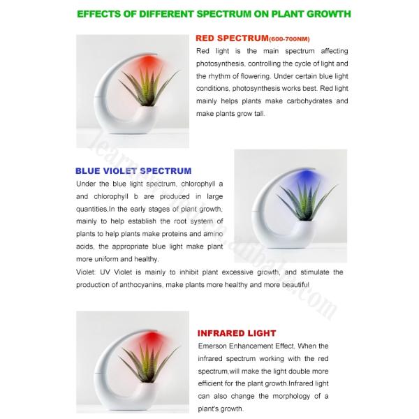 LERANEW 440-450nm 0.5W SMD LED Chips 3.4V UV LED SMD