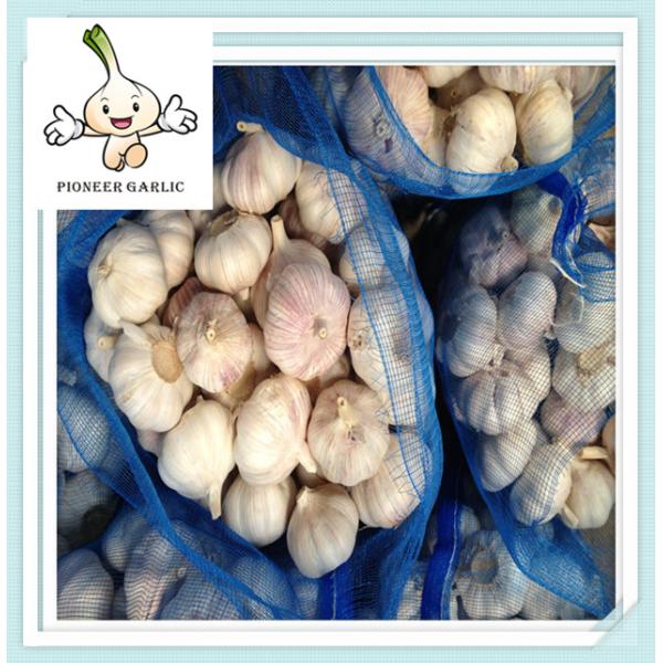 New Crop 100% Natural Organic Dried White Garlic Pure white garlic export