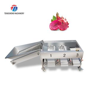 2.5KW Vegetable Fruit Sorting Machine Roller Barrel Grading equipment