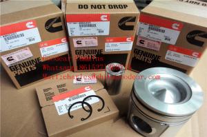 Dongfeng  ISDE diesel engine piston 4955337 in stock