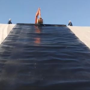 Quality Length 50-200m Geomembrane for Fish Ponds Smooth and Durable 1mm 2mm Thickness for sale